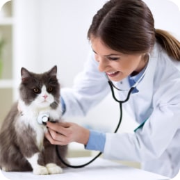 Patas Agropet - Consultório veterinário